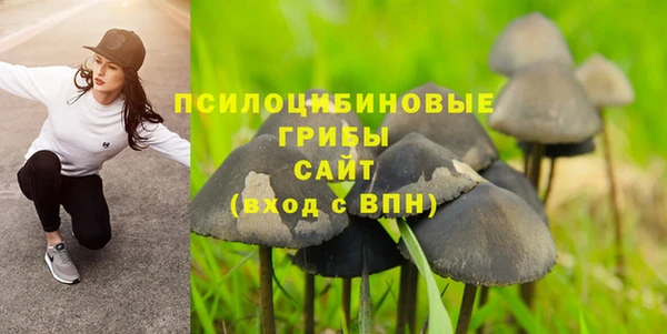 apvp Балабаново