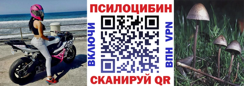 наркотики  Малмыж  Псилоцибиновые грибы мухоморы 